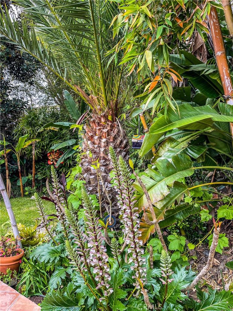 MLS #LG25059715 image #40