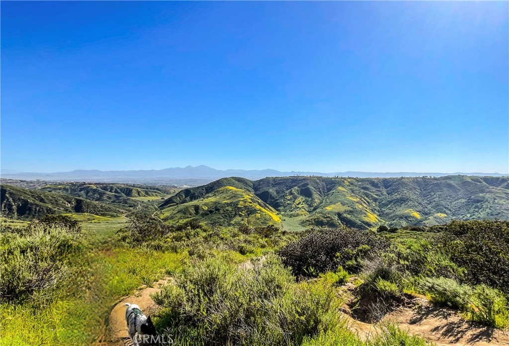 MLS #LG25059715 image #43