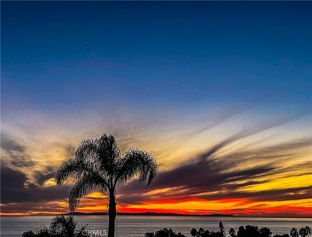 MLS #LG25059715 image #51