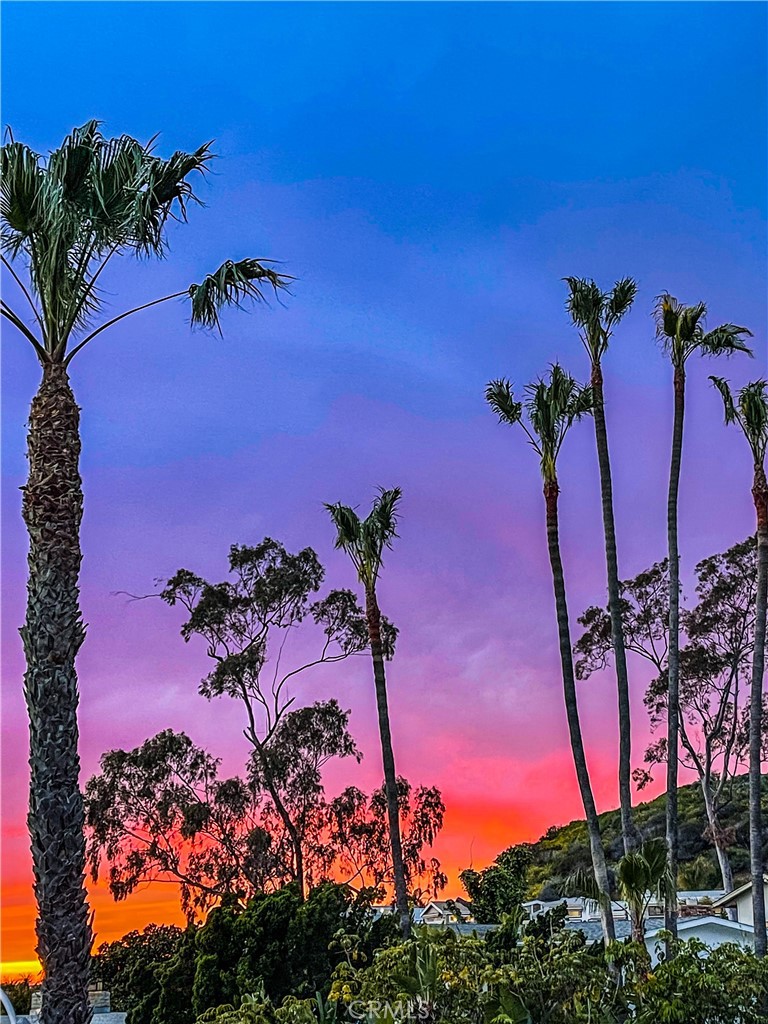 MLS #LG25059715 image #53