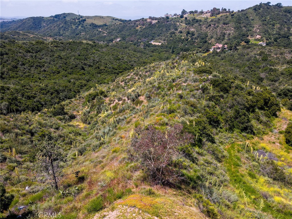 MLS #LG25099439 image #17