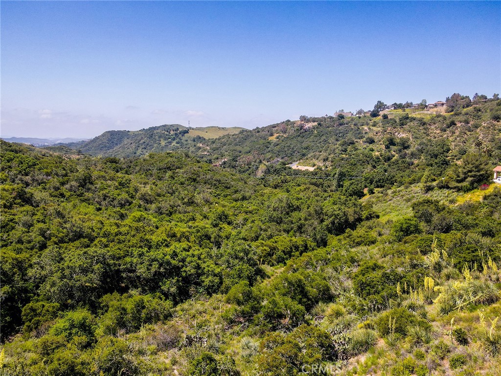 MLS #LG25099439 image #22