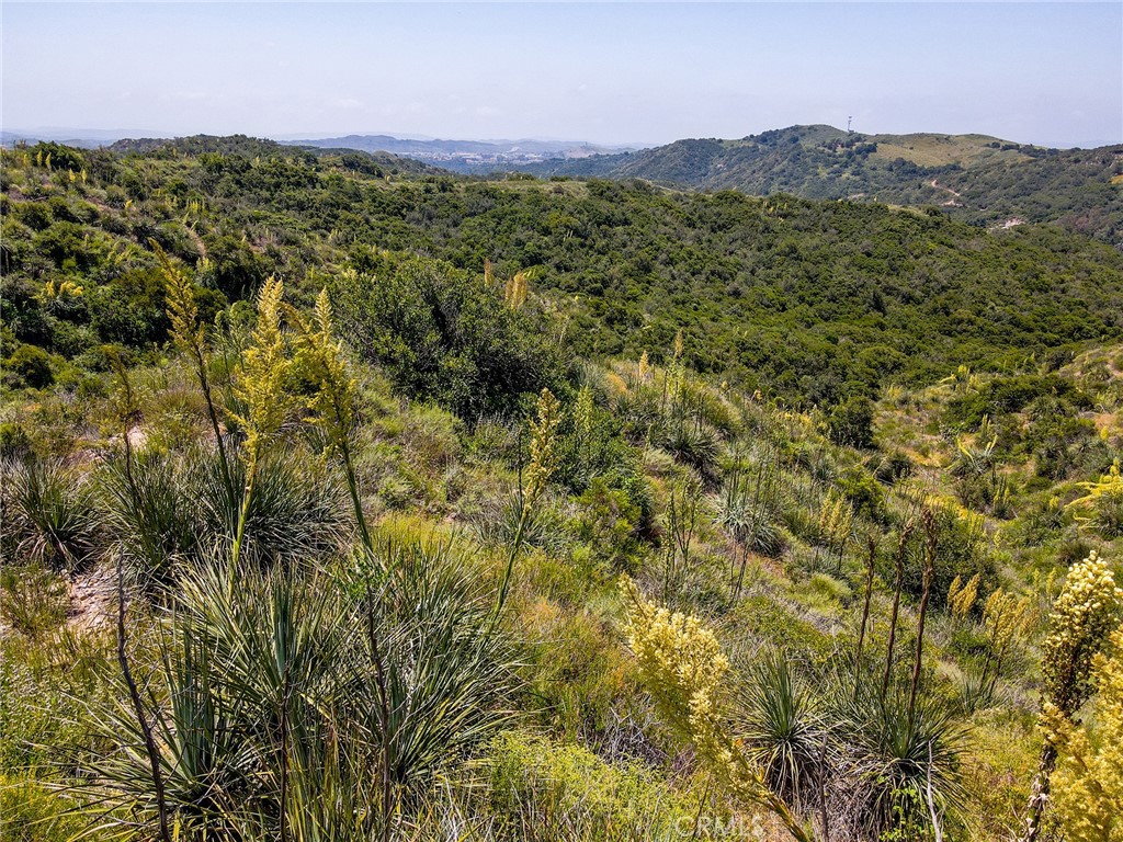 MLS #LG25099439 image #24