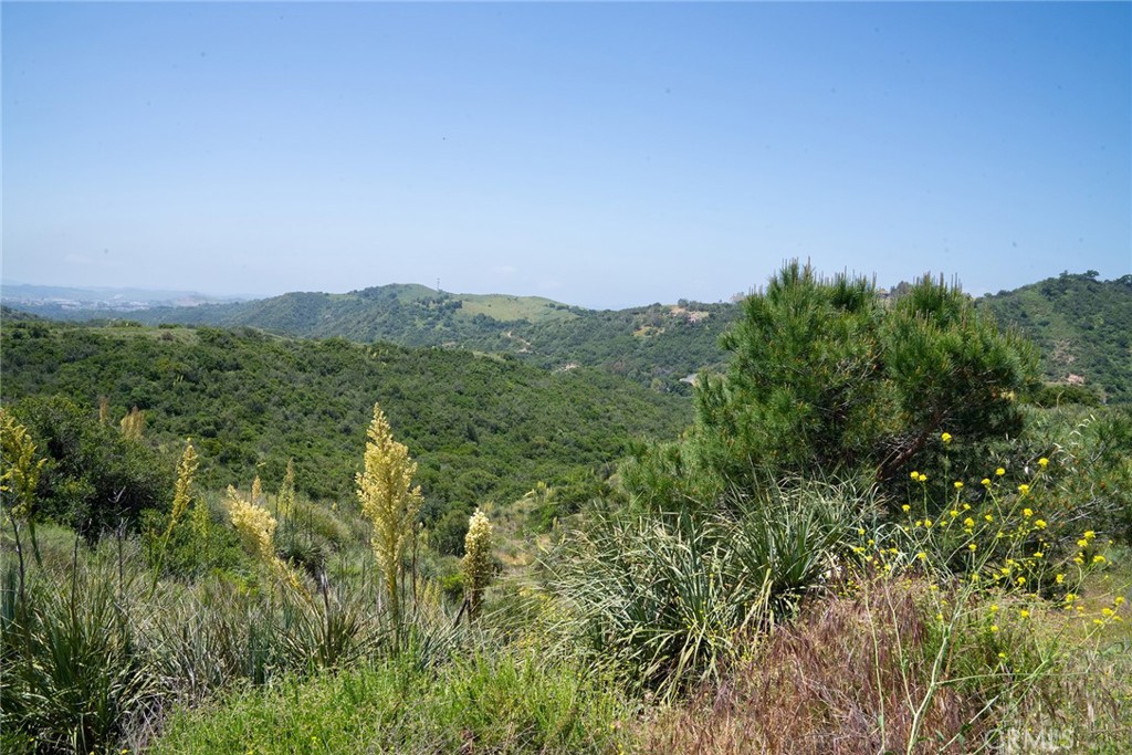 MLS #LG25099439 image #27