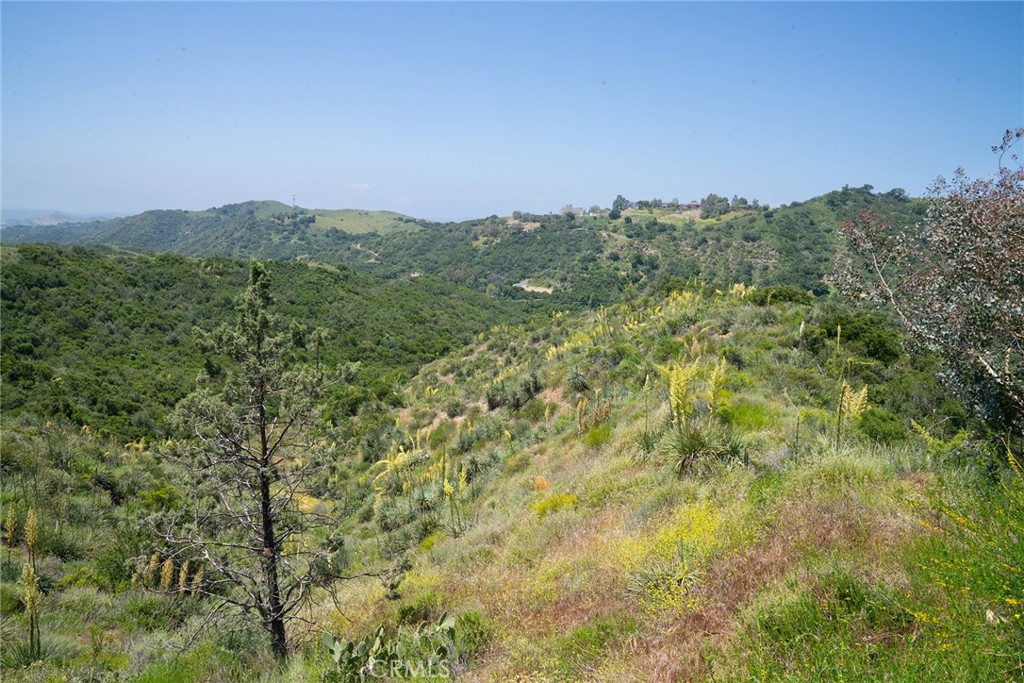 MLS #LG25099439 image #28