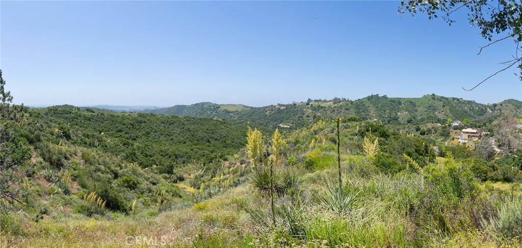 MLS #LG25099439 image #30