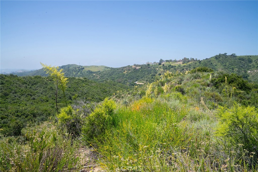 MLS #LG25099439 image #31