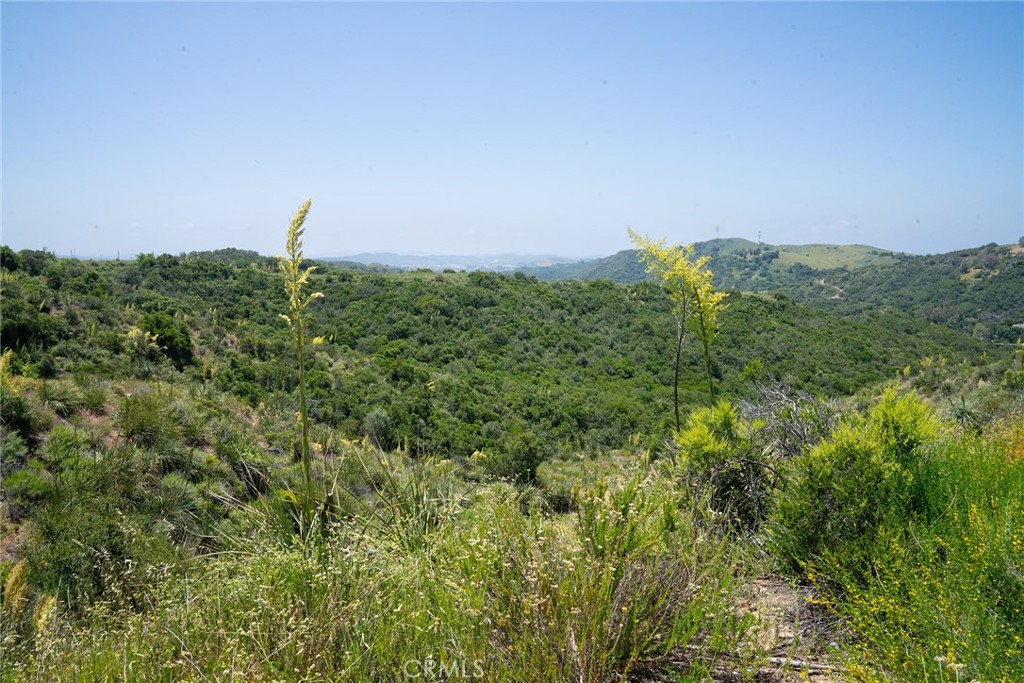 MLS #LG25099439 image #32