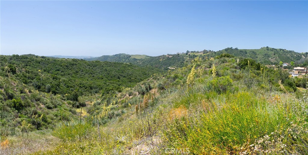 MLS #LG25099439 image #33