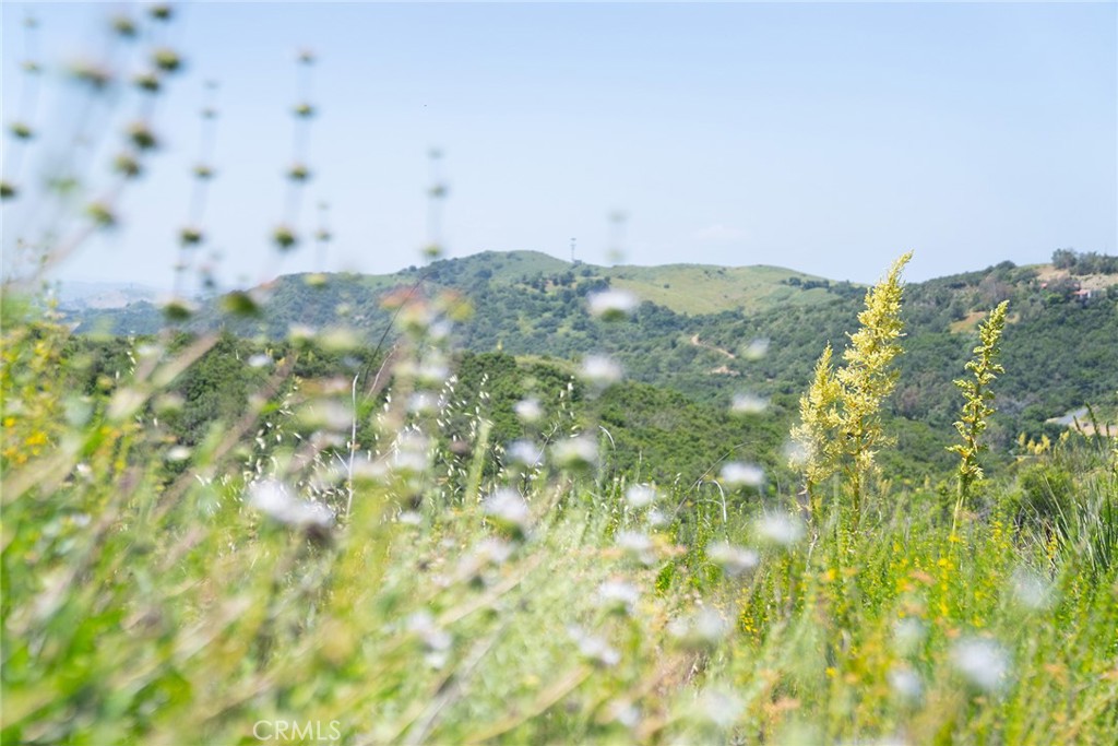 MLS #LG25099439 image #35