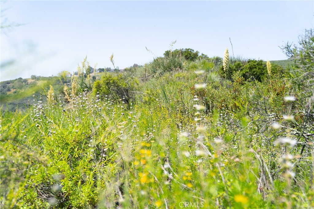 MLS #LG25099439 image #36