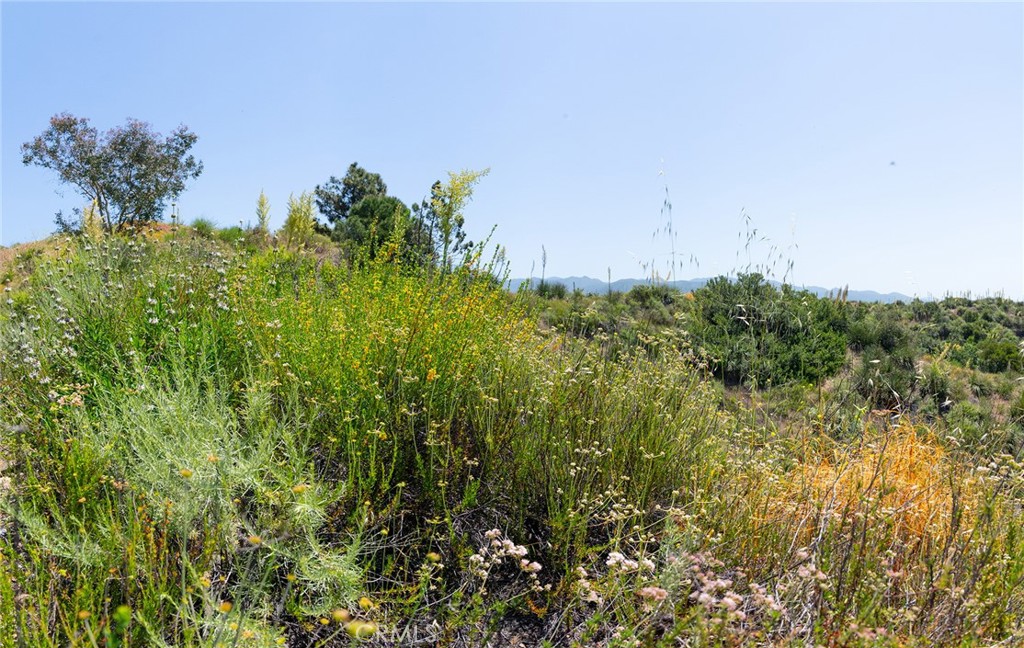 MLS #LG25099439 image #39