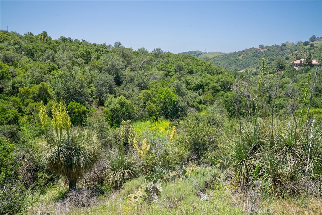 MLS #LG25099439 image #40