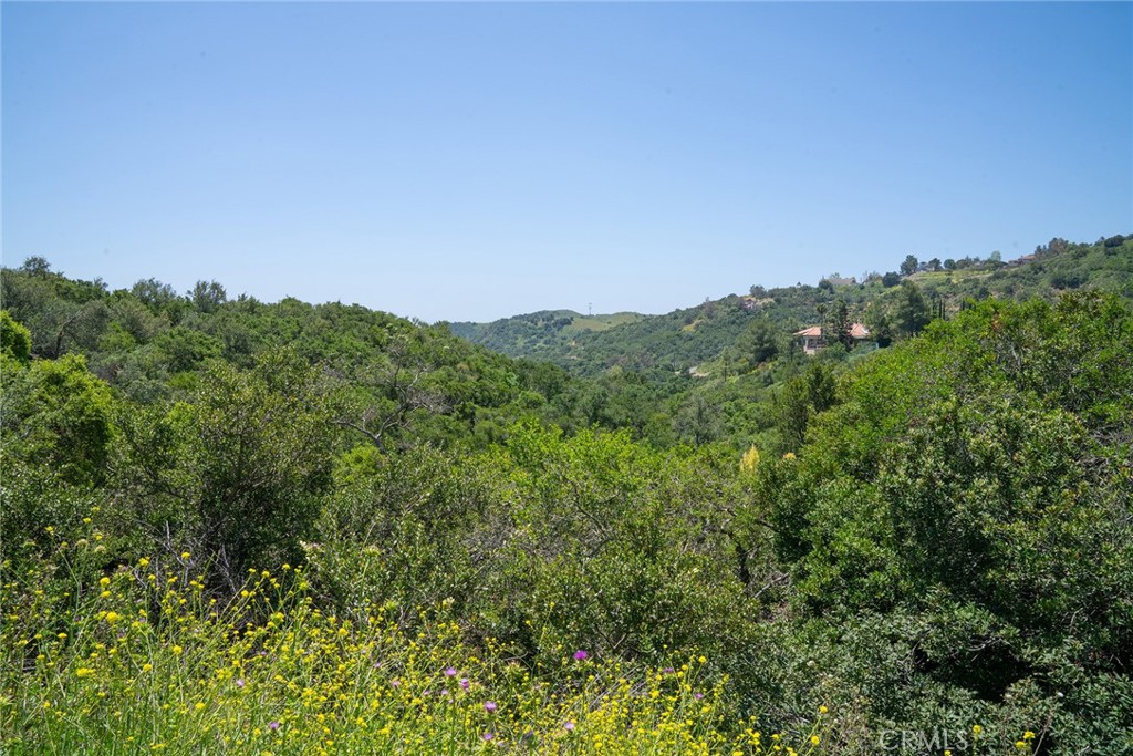 MLS #LG25099439 image #41