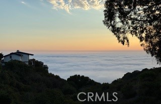 MLS #LG25147362 image #45