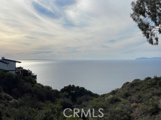 MLS #LG25147362 image #46