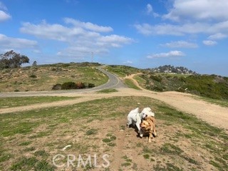 MLS #LG25147362 image #49