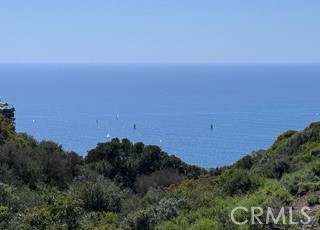 MLS #LG25147362 image #50