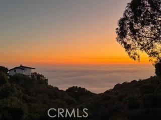 MLS #LG25147362 image #52