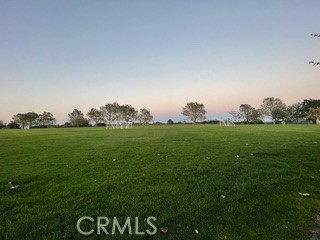 MLS #LG25147362 image #58