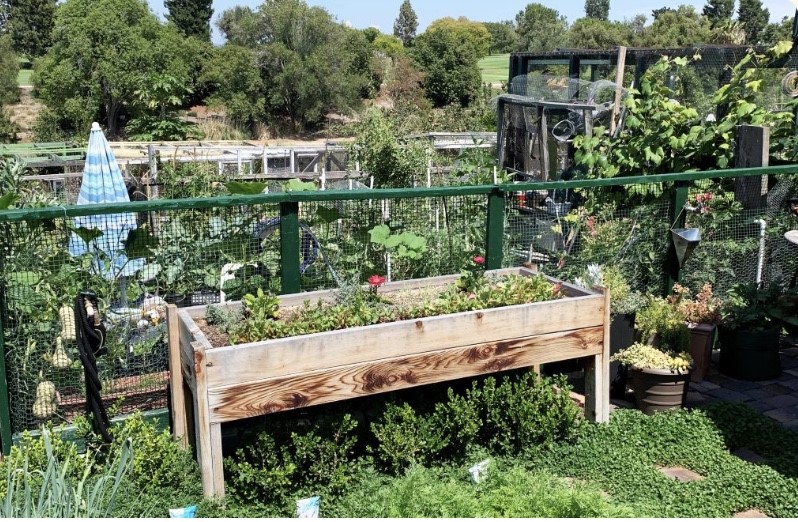 MLS #LG25154345 image #25