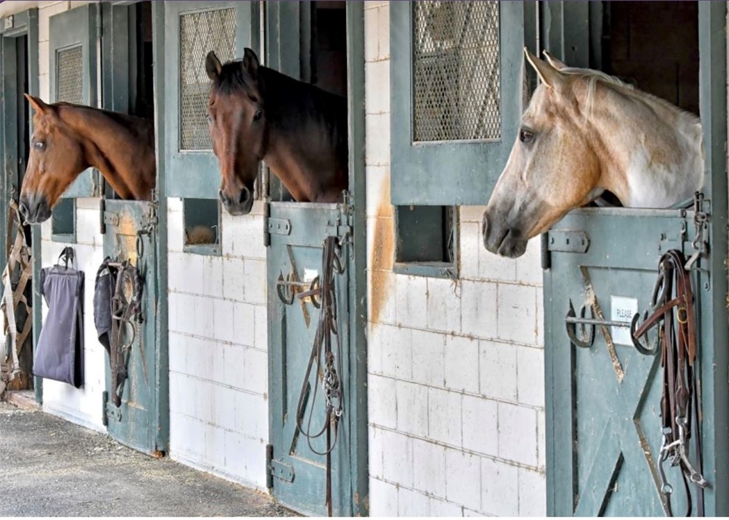 MLS #LG25154345 image #27