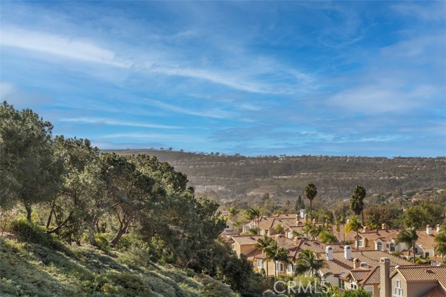 MLS #LG25161916 image #34