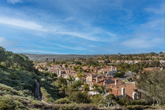 MLS #LG25161916 image #36