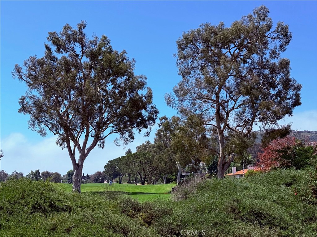 MLS #LG25191639 image #0