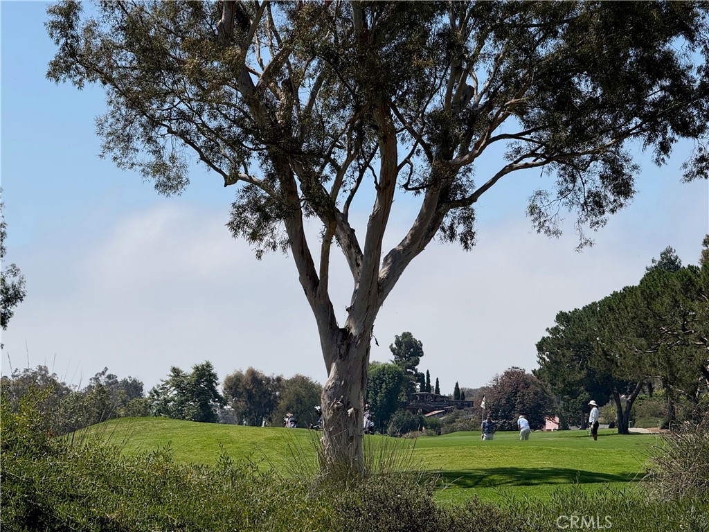 MLS #LG25191639 image #31