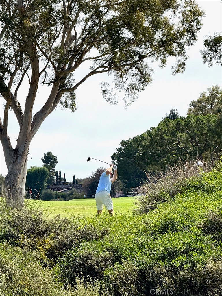 MLS #LG25191639 image #34