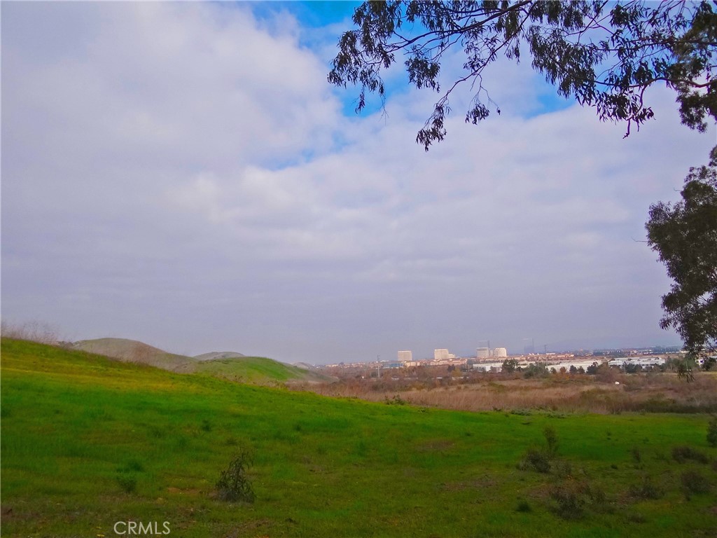 MLS #LG25219268 image #28