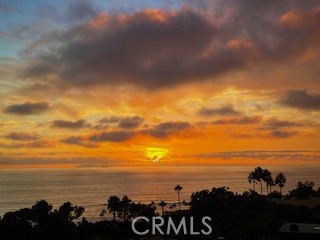 MLS #LG25224234 image #47