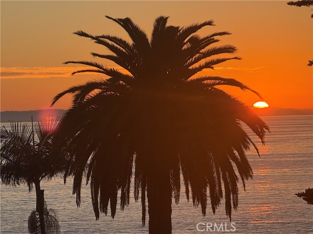 MLS #LG25241177 image #8