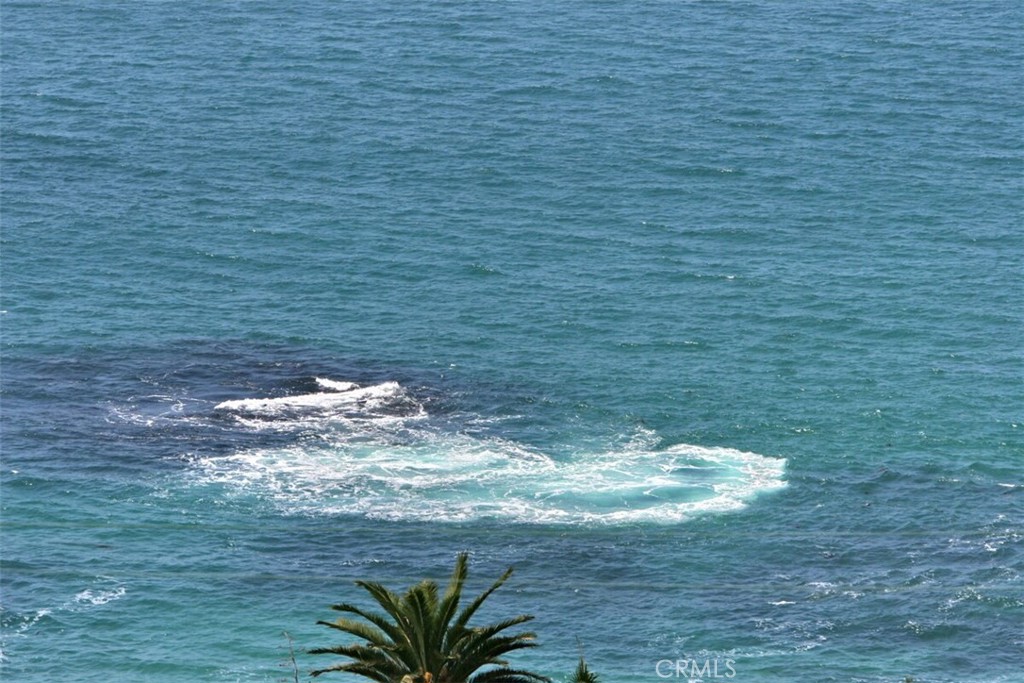 MLS #LG25242831 image #29