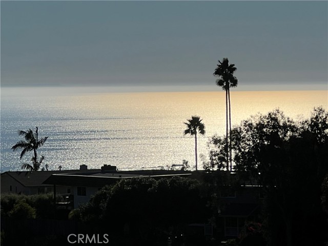 MLS #LG25247762 image #30