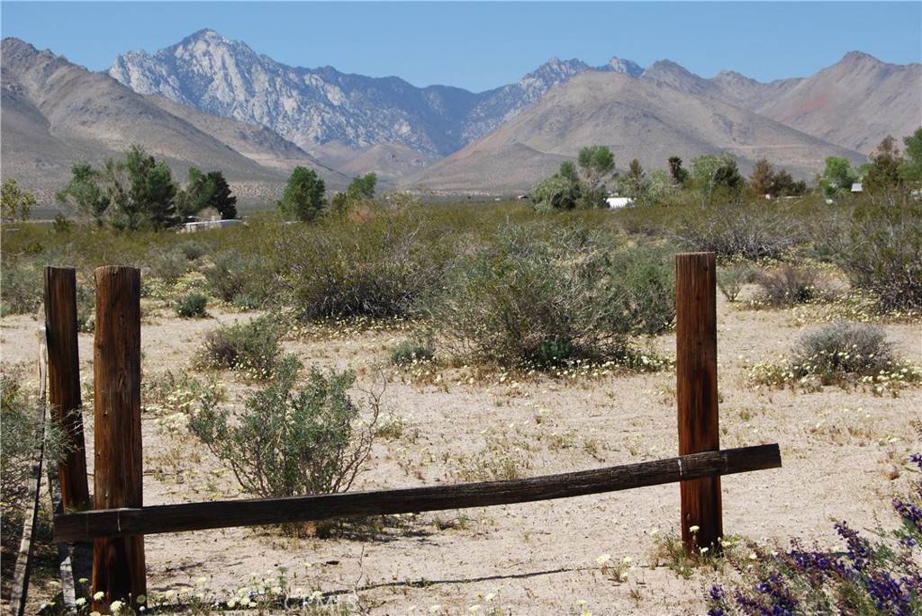 MLS #MB25075534 image #0