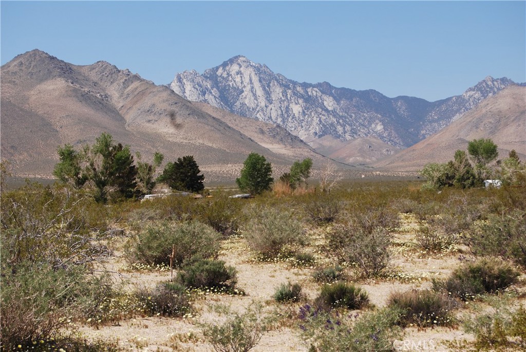 MLS #MB25075534 image #1