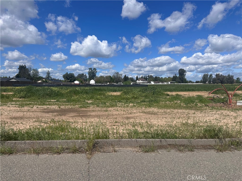 MLS #MC21065927 image #2