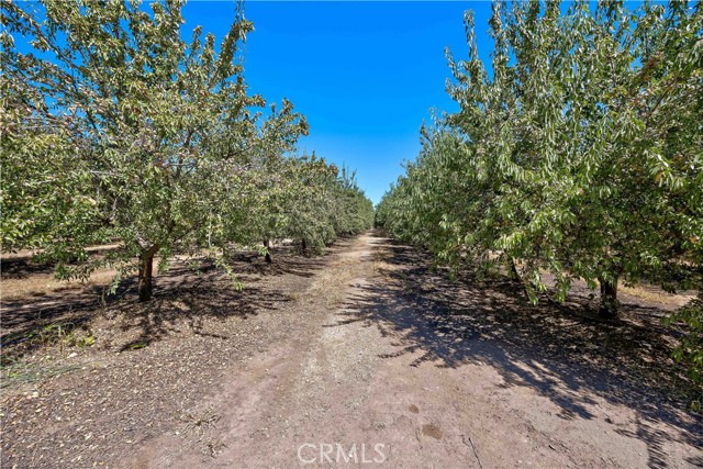 MLS #MC24170292 image #11