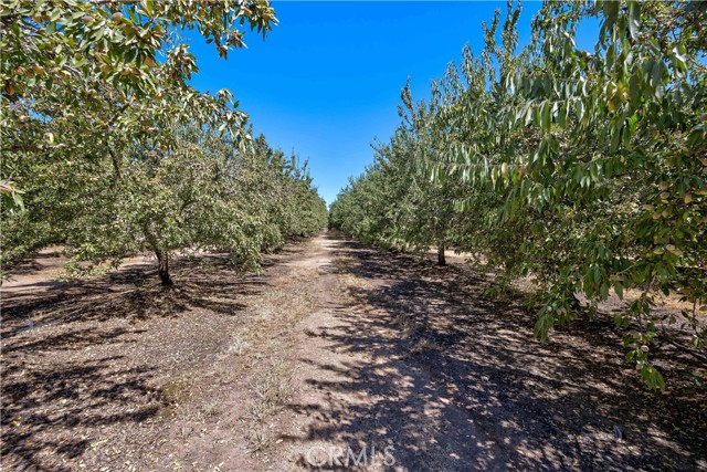 MLS #MC24170292 image #12