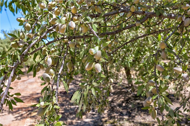 MLS #MC24170292 image #15