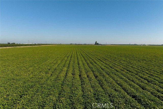 MLS #MC25120760 image #0