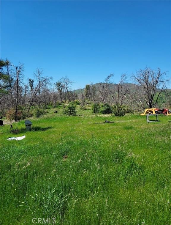 MLS #MC25126005 image #0