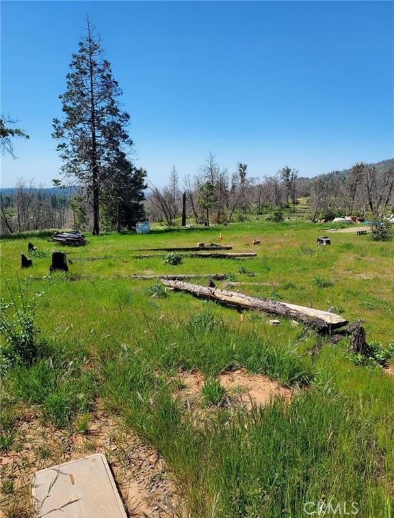 MLS #MC25126005 image #2