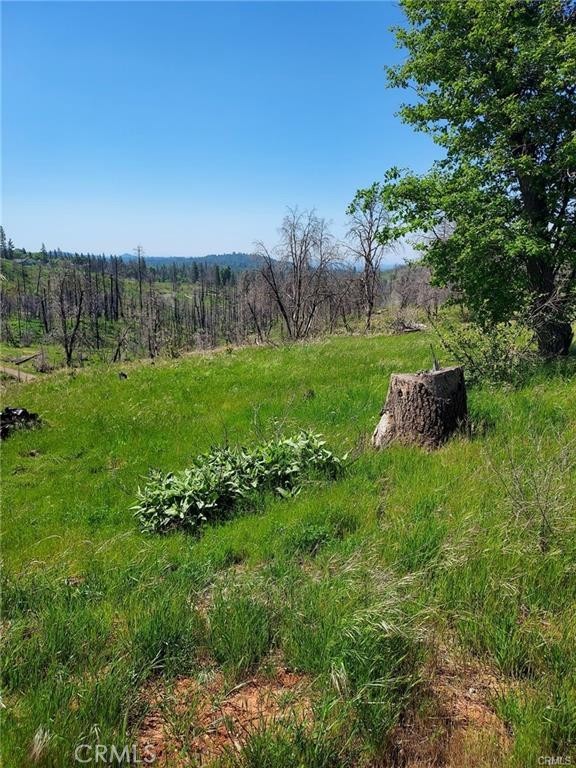 MLS #MC25126005 image #4