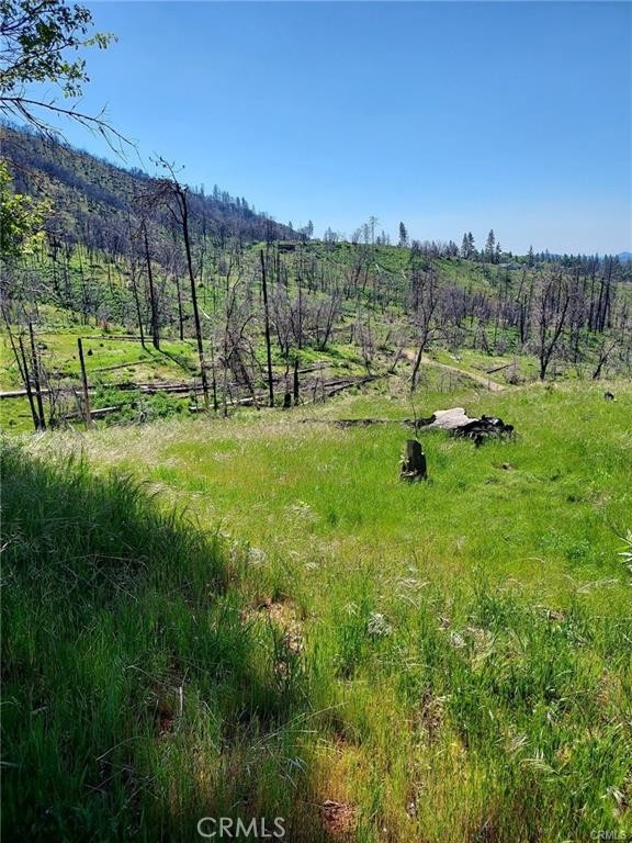 MLS #MC25126005 image #5