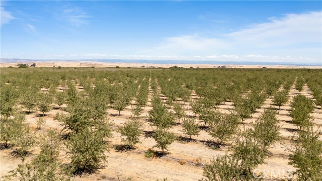 MLS #MC25188936 image #15