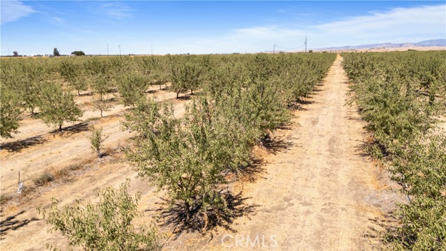 MLS #MC25188936 image #17