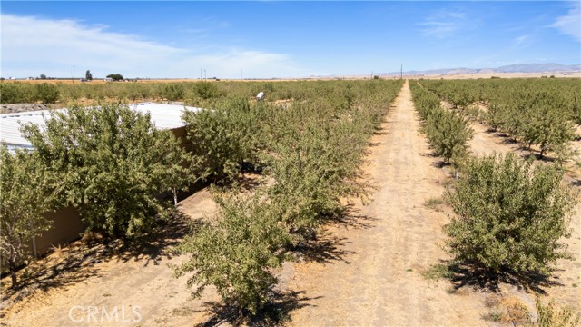 MLS #MC25188936 image #18